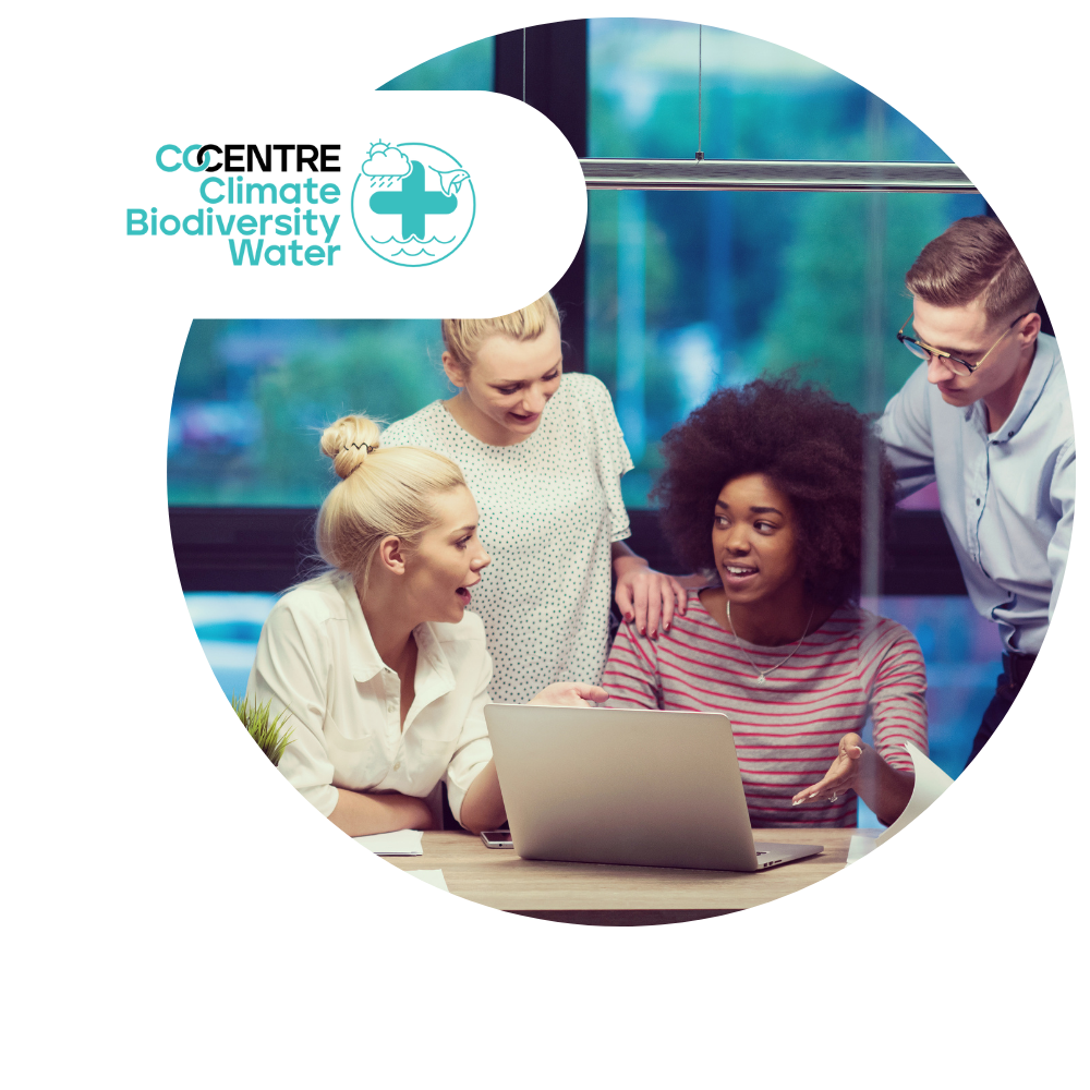 AI + Climate Sustainability Sandbox page banner