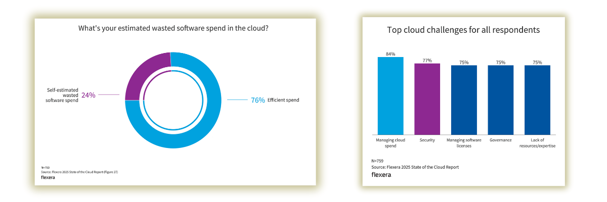 Flexera 2025 State of the Cloud - estimated wasted cloud spend
